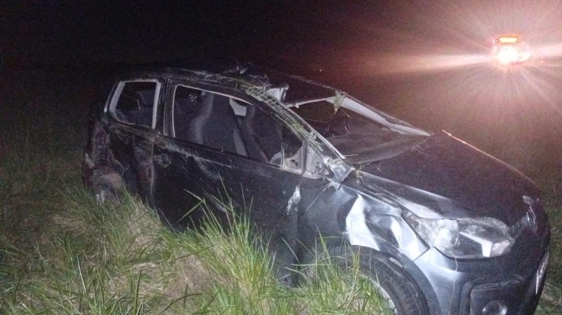 Choc con un carpincho y volc en la ruta 226
